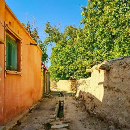 محمدرضا بلالی زیبای بی همتا حق من دوری نیست